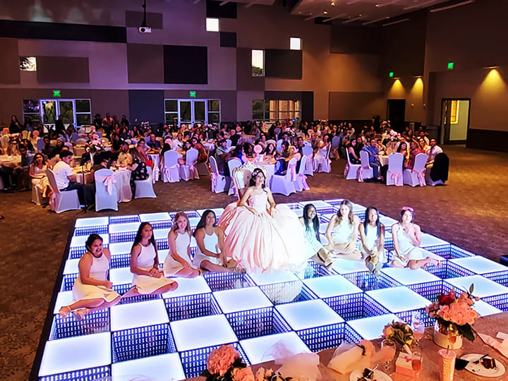 Wedding LED Dance Floor Show